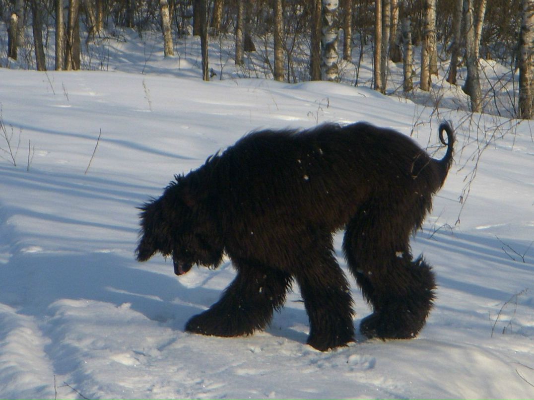 Margo Rogozhina | Санкт-Петербург