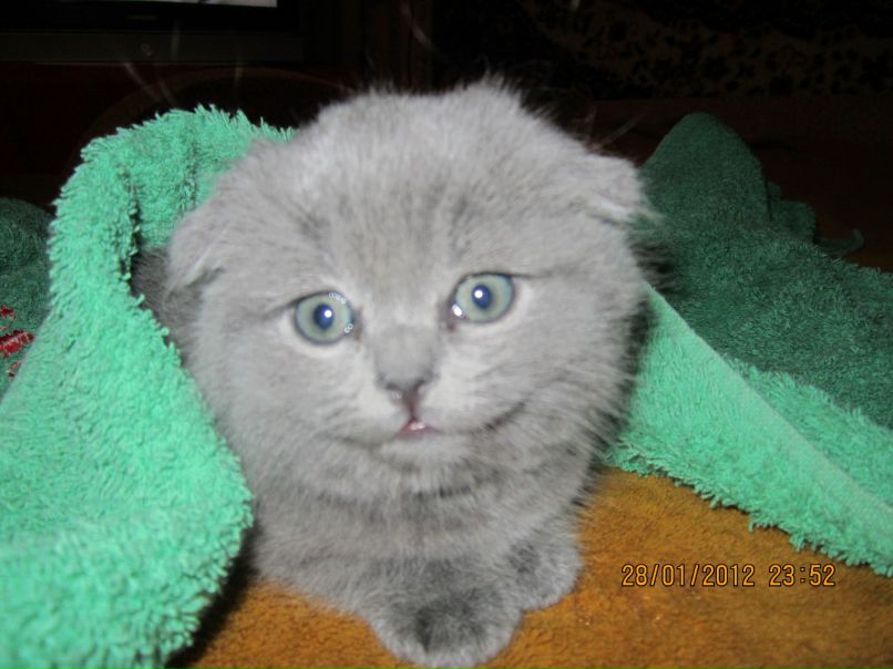 Илья Степанов | Рыбинск