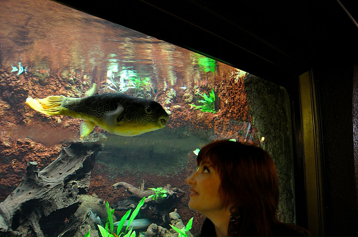 Светлана Чертова | Краснодар