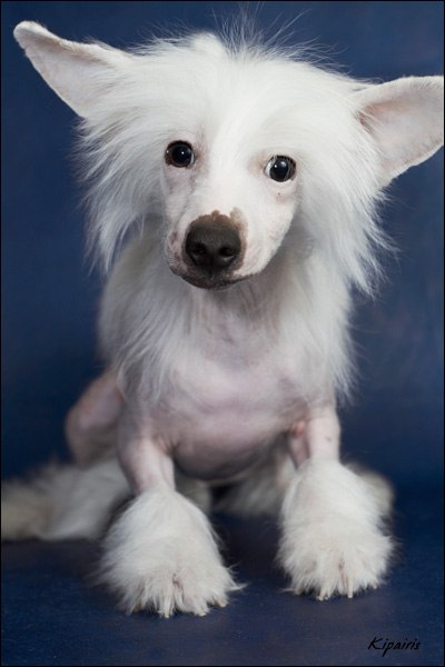 Сашка Солнцева | Москва