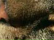 Леночка Попова | Санкт-Петербург