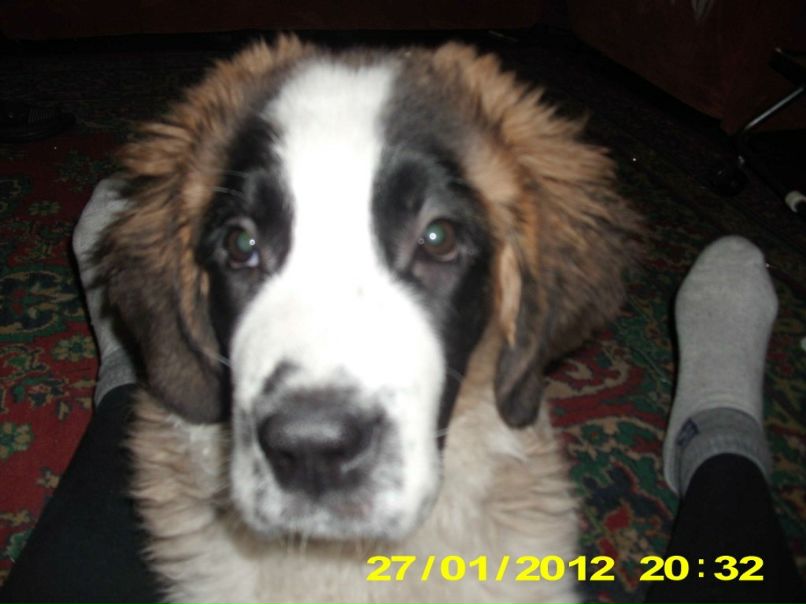 Галина Валова | Усть-Каменогорск