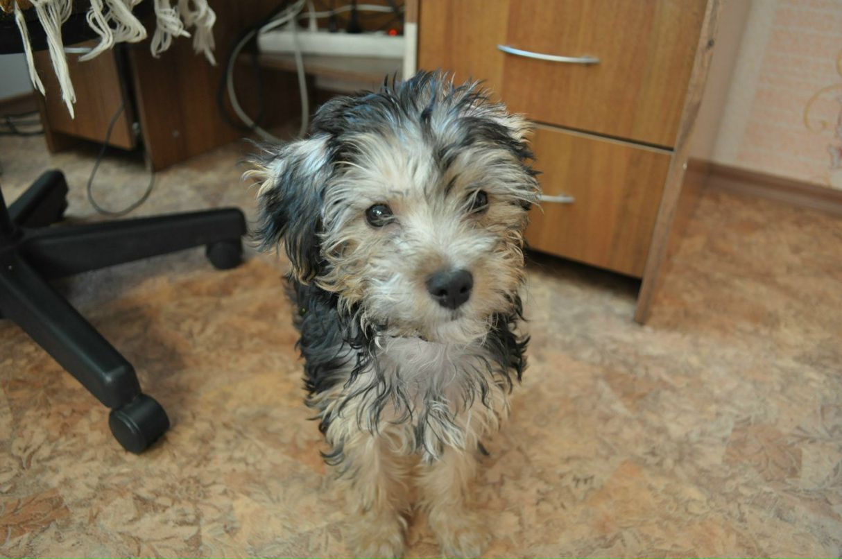 Даша Евстигнеева | Верхняя Салда