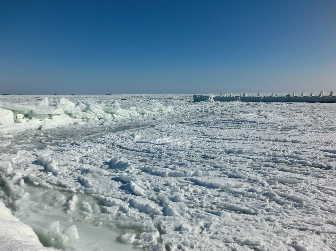 Володя Медведев | Одесса