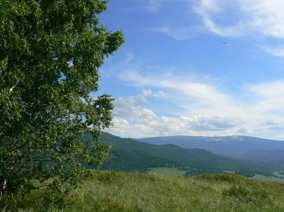 Вячеслав Рощин | 