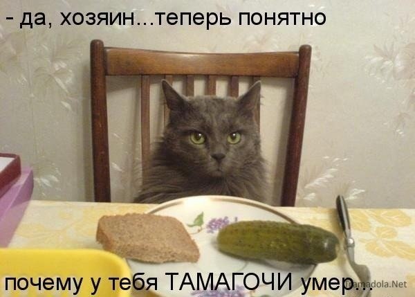 №115, Екатерина Ольховикова, 18.02, Лебяжье №115, Екатерина Ольховикова, 18.02, Лебяжье