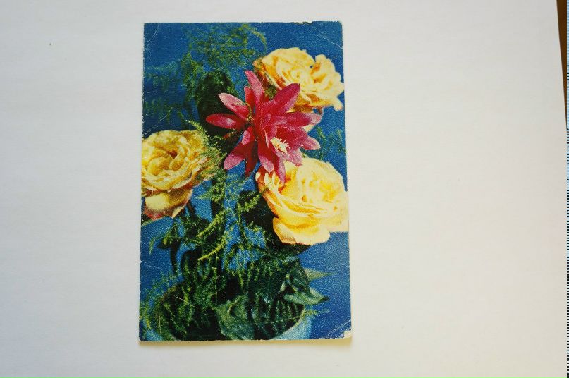 Маша Уварова | Санкт-Петербург