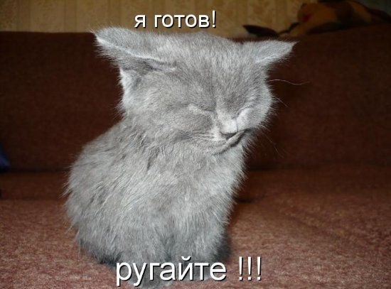 Катя Лукьянова киса** | Нурлат