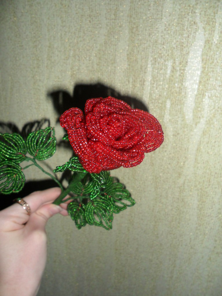 Марина Ткаченко | Черкассы