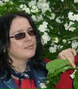 Фотография Елена Королькова