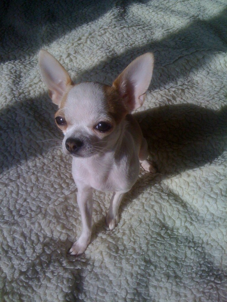 Илья Желнов | Москва