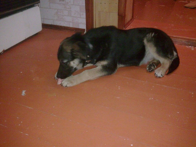 Паша Никулочкин Face-control | Калуга