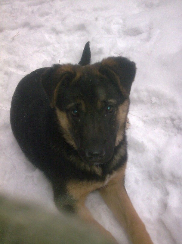 Паша Никулочкин Face-control | Калуга