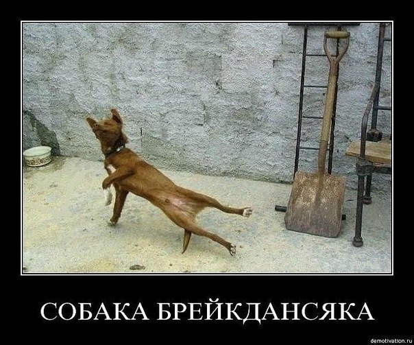 Лена Силантьева | Санкт-Петербург