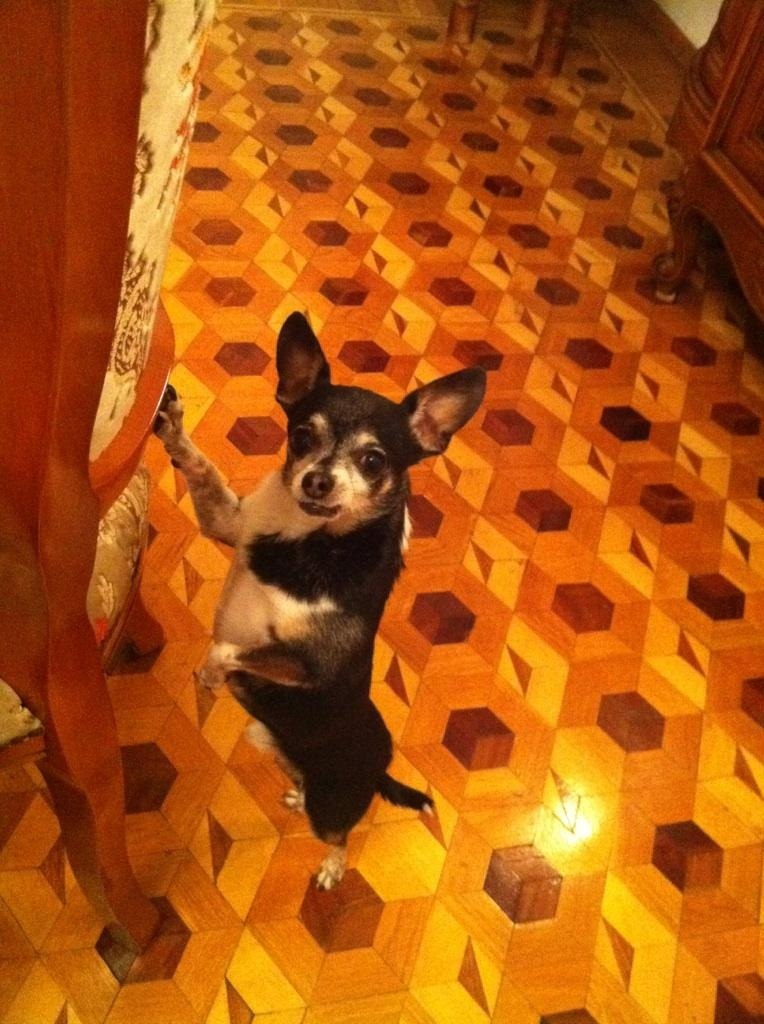 Алина Бердичевская | Москва