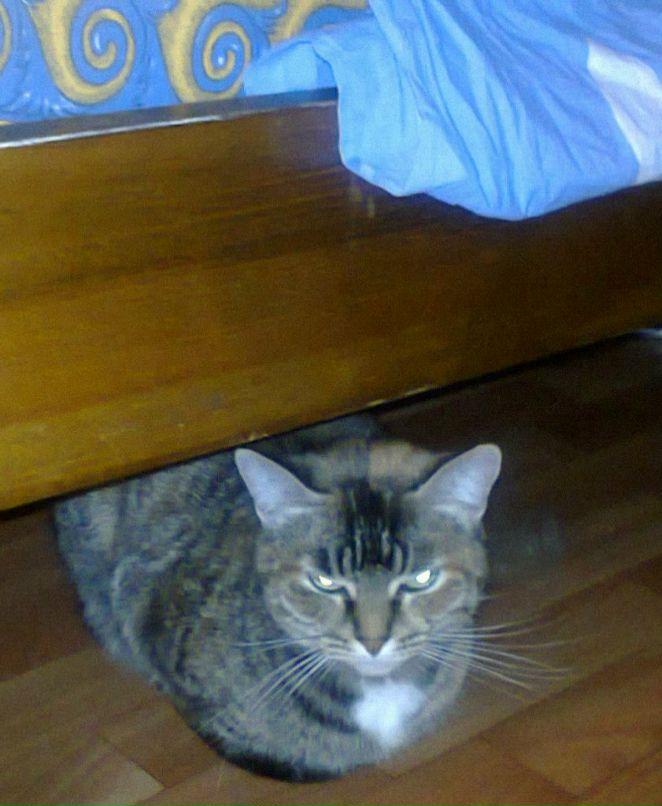 Андрей Бабичев | Нижний Новгород