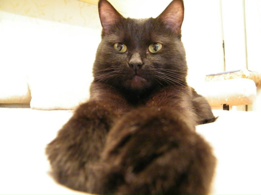 Роман Никитин | Санкт-Петербург