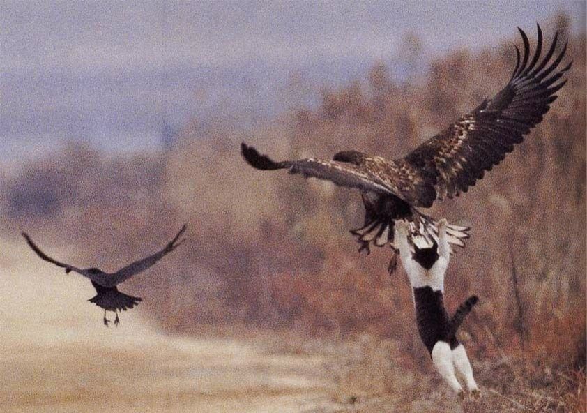 Сергей Собянин | Москва