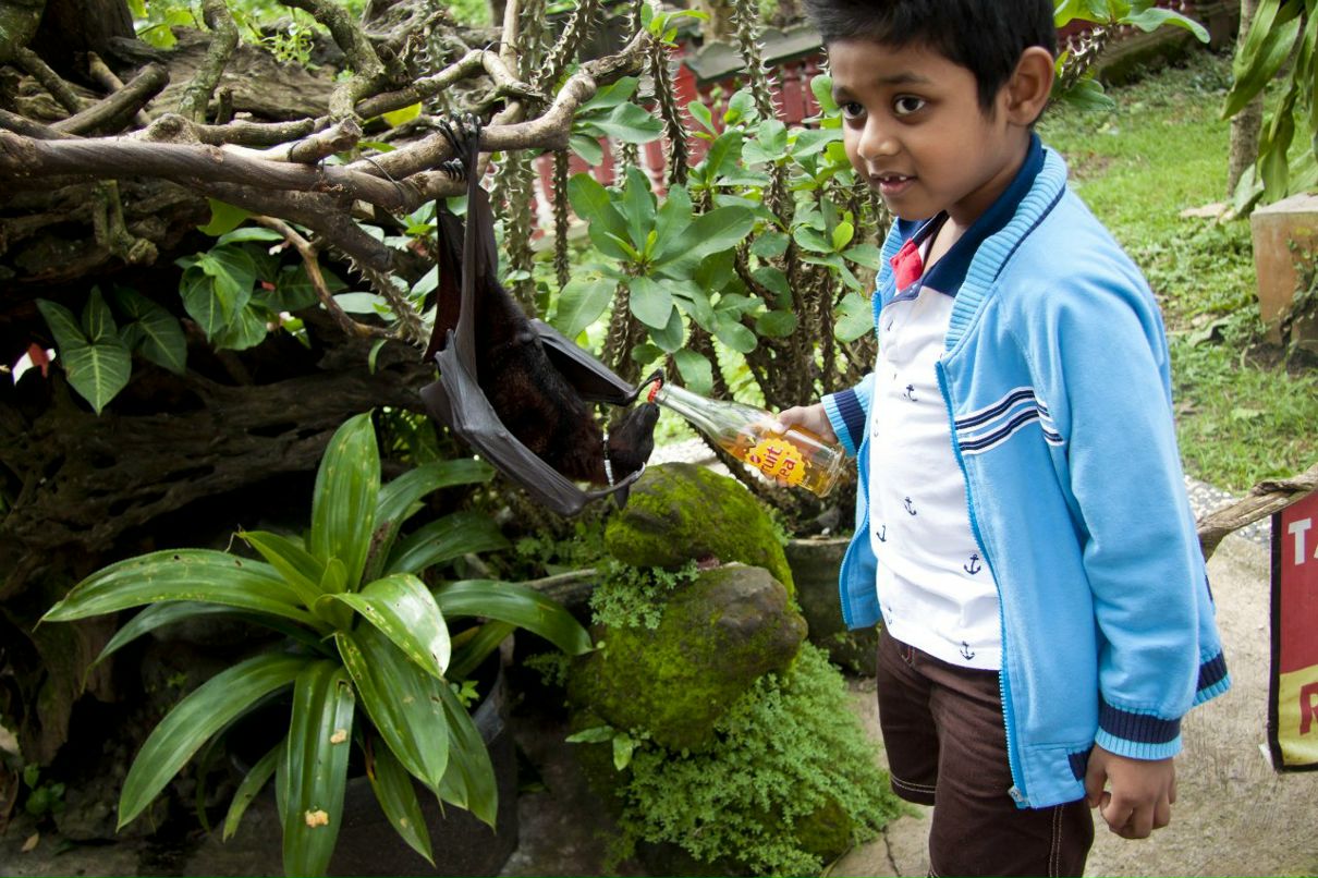 Екатерина Ефаркина | Новосибирск