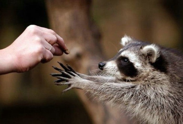 Max Fax | Запорожье