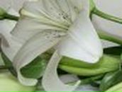 Кристина Петраш | Запорожье