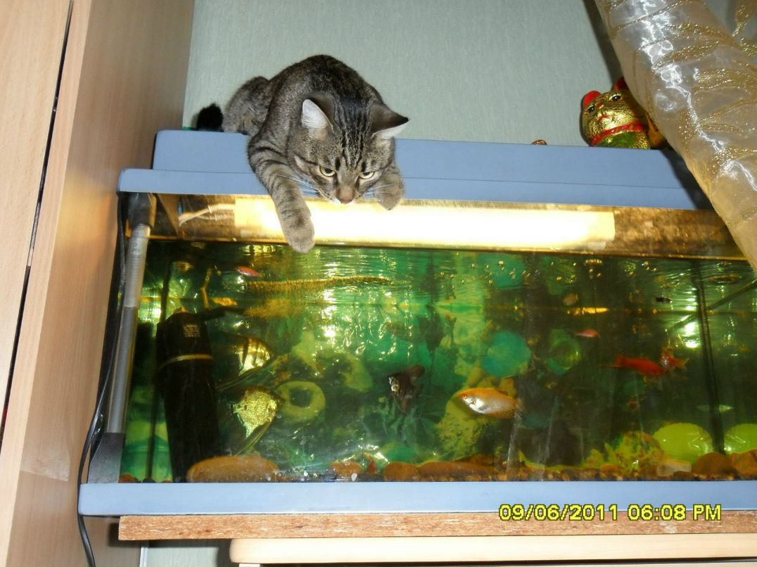 Лариса Амирова | Тюмень