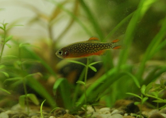 Василий Иванович | Казань