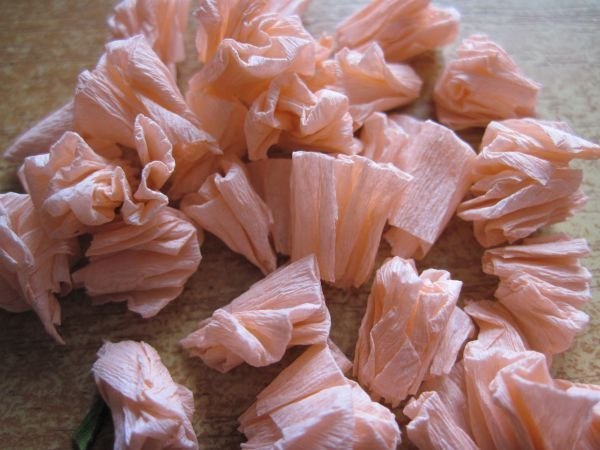 Сусанна Газарьян | Калининград