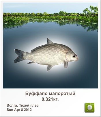 Иван Дунский | Липецк