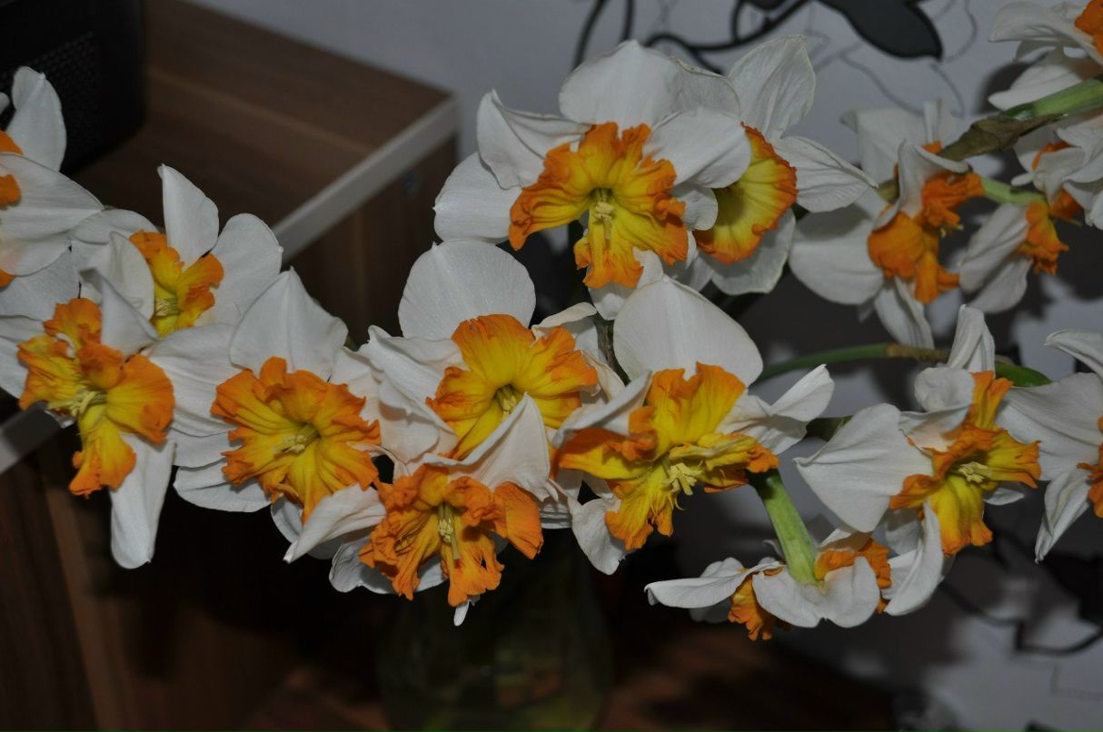 Андрей Музыченко | Днепр (Днепропетровск)