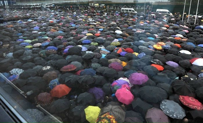 №7, Ольга Ходаренко №7, Ольга Ходаренко