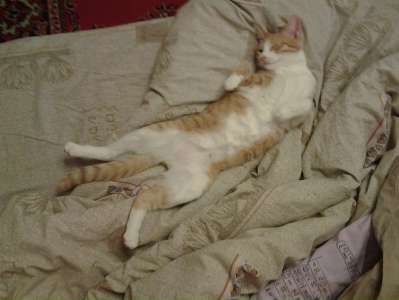 №127, Наталья Агеева, Обнинск №127, Наталья Агеева, Обнинск