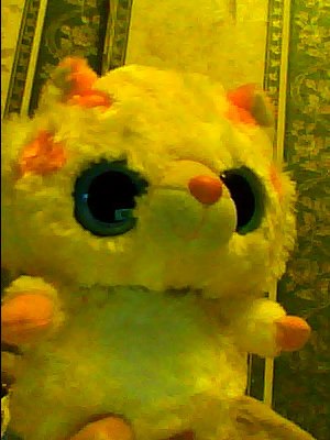 Софья Сидорова | Саранск