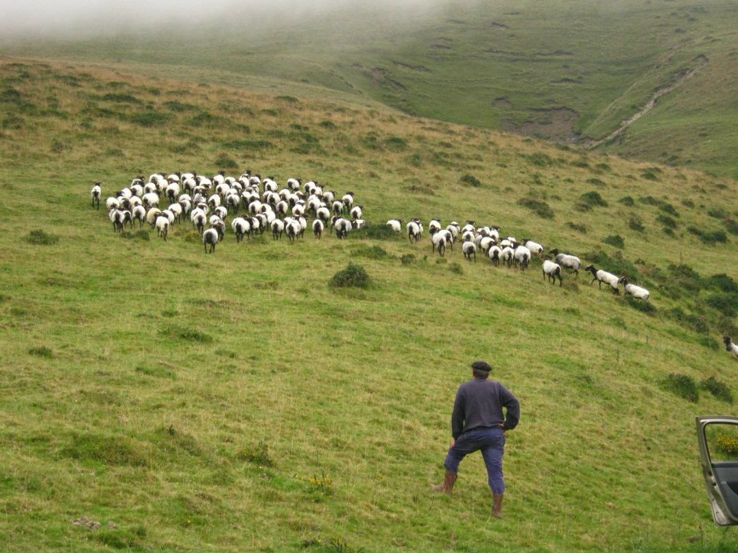 Светлана Иванова | Санкт-Петербург