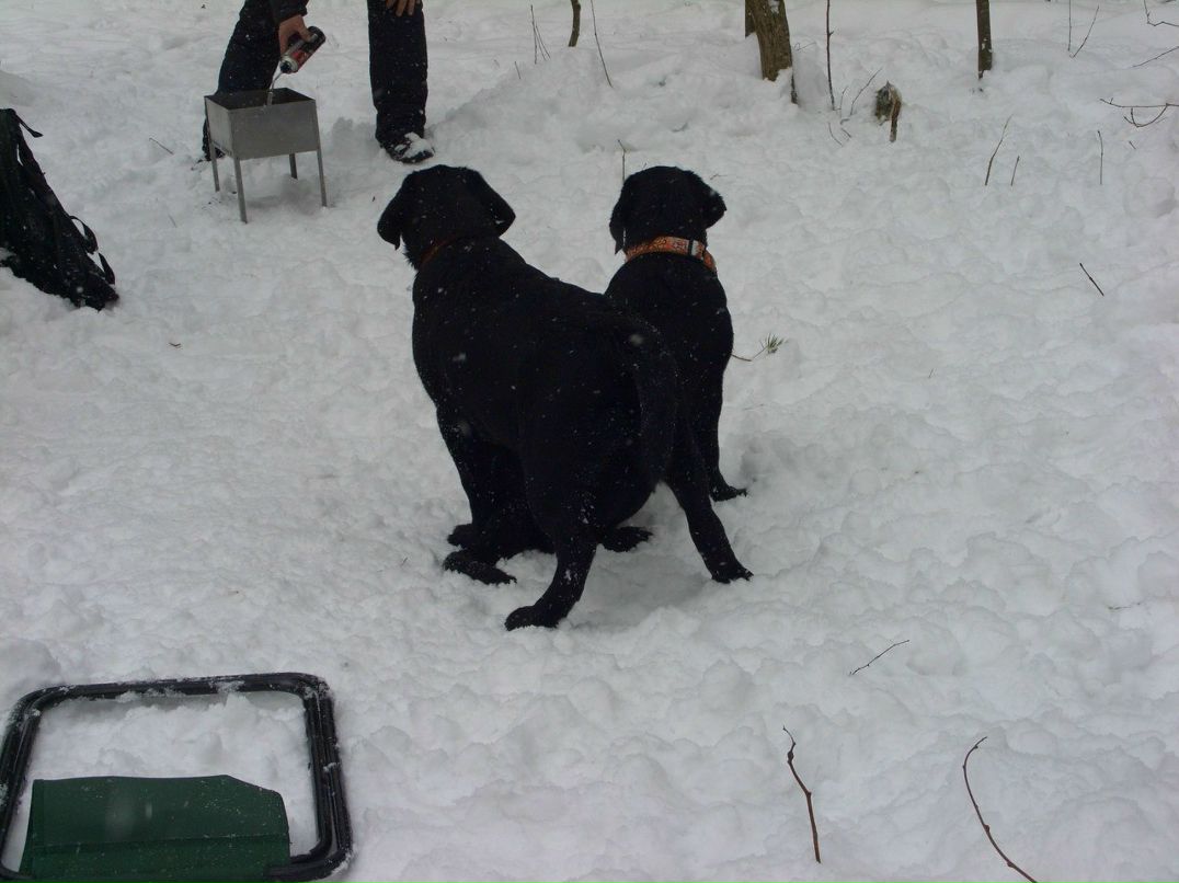 Светлана Кураева | Рыбинск