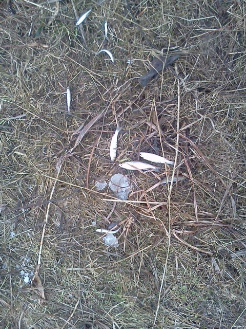 Михаил Поздеев | Ижевск