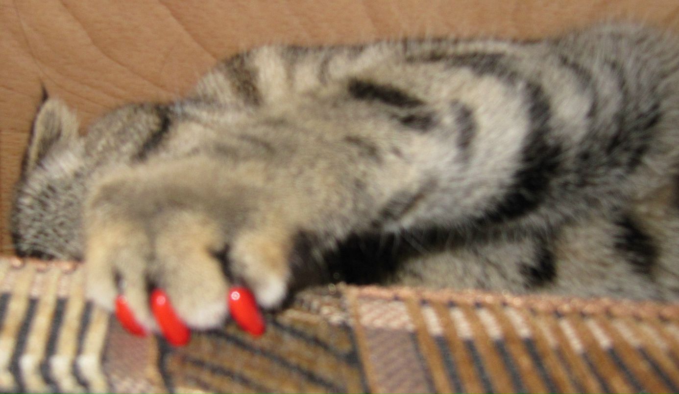 Ирина Коноваленко | Днепр (Днепропетровск)