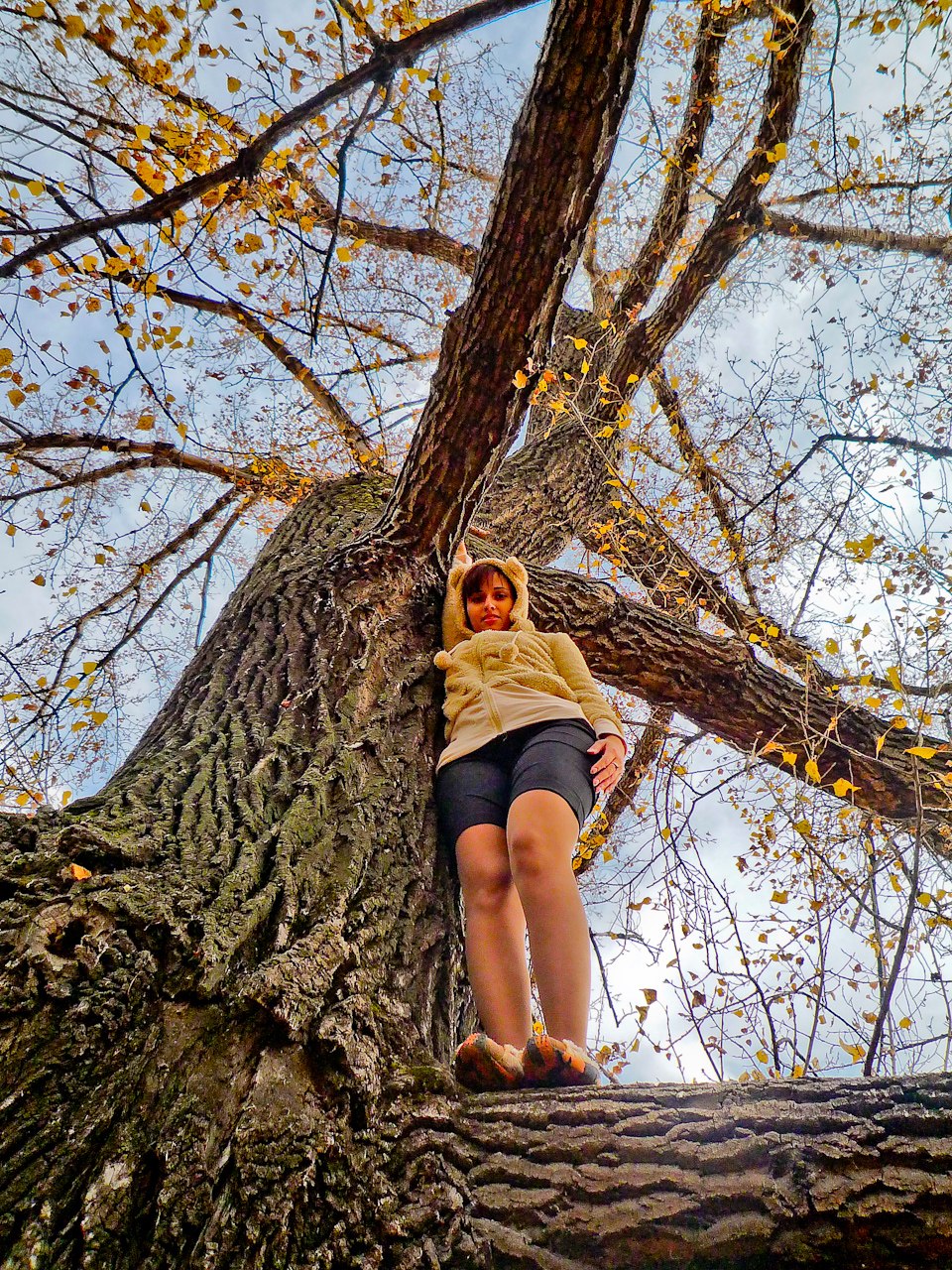 Оля Исько | Concord