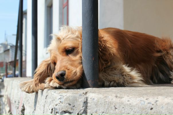 №10, Юля Тесля, Киев №10, Юля Тесля, Киев