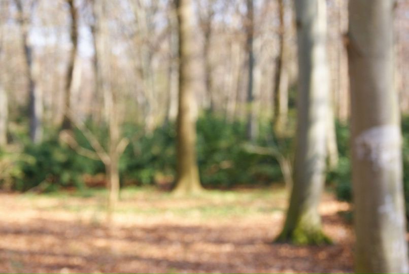 Тимофей Волоцкий | Санкт-Петербург