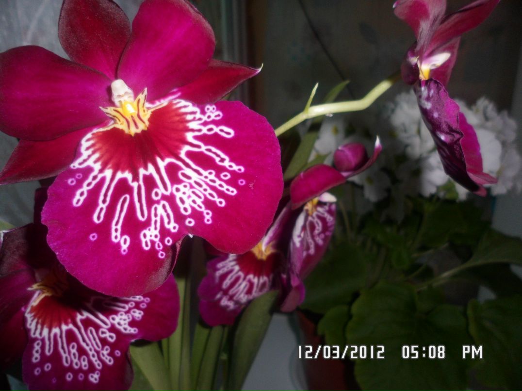 Евгения Астахова | Сочи