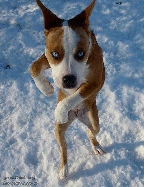 Дарья Таранина | Бердск