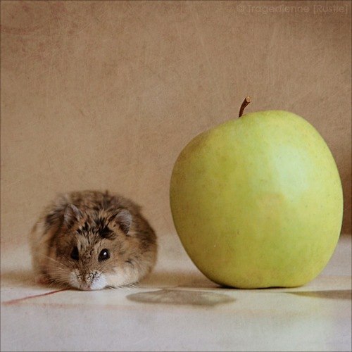 Антонина Острикова | Москва