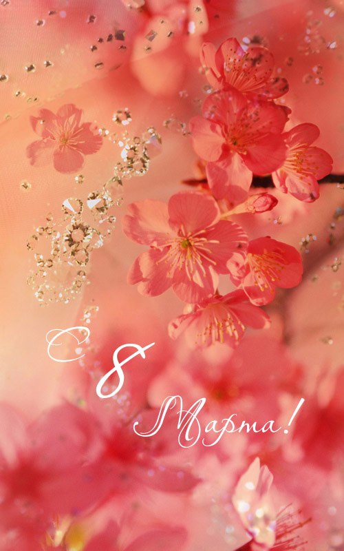 Инга Ковалёва | Смоленск