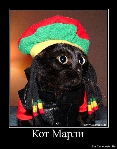 Надежда Клокова | Магнитогорск