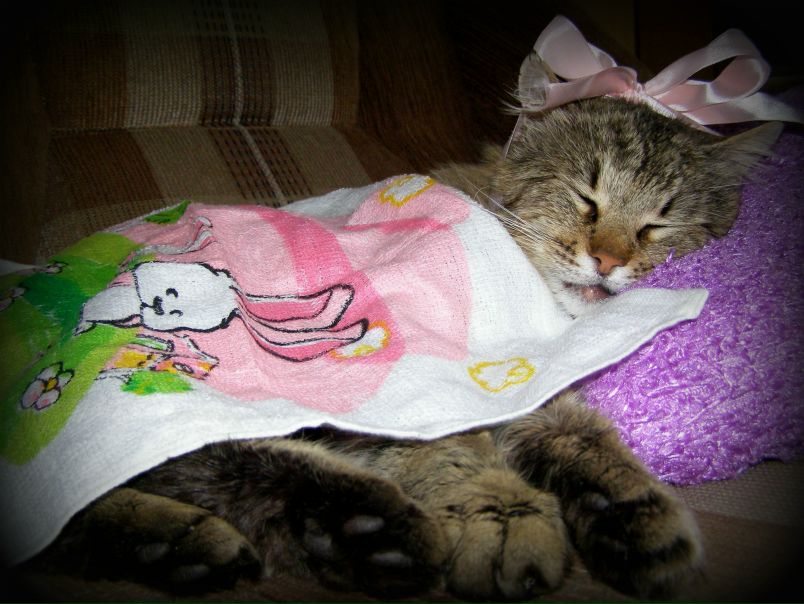 №45, Ксюша Вишнякова, 36 лет, Краснодар, Россия №45, Ксюша Вишнякова, 36 лет, Краснодар, Россия