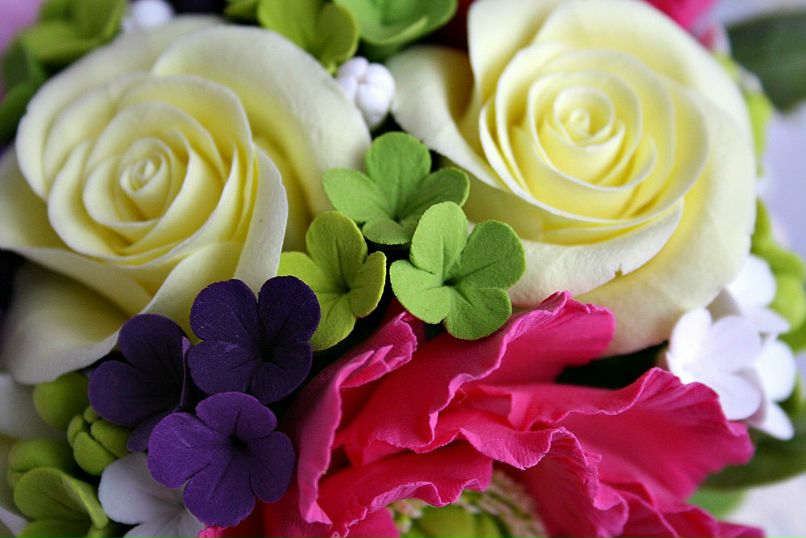 Анастасия Яценко | 