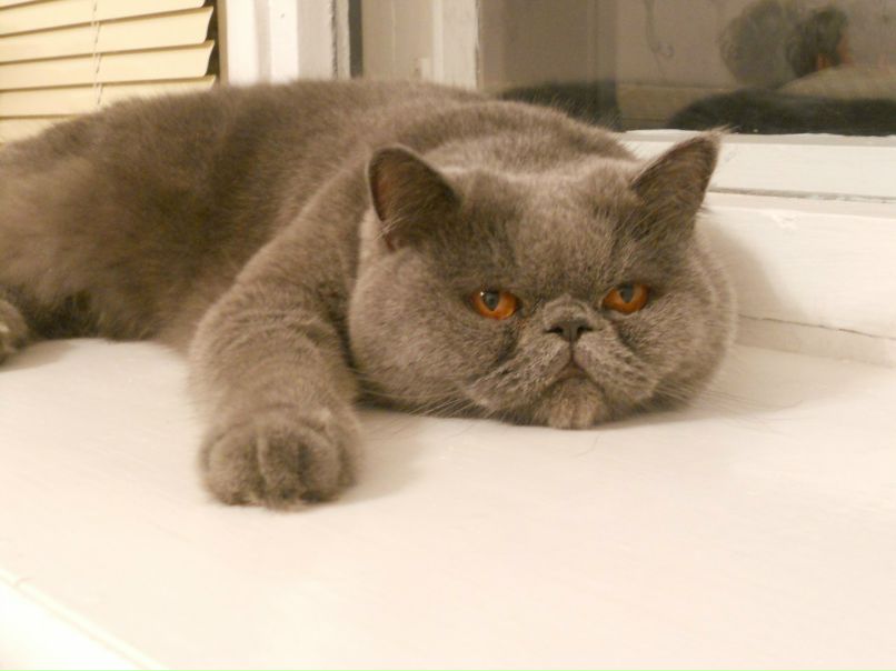 Екатерина Исрафилова | Екатеринбург