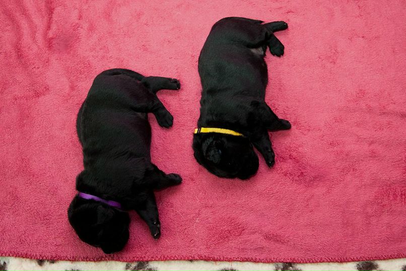 Катя Русь | Минск