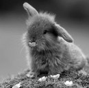 Фотография Зульфира Ахметшина